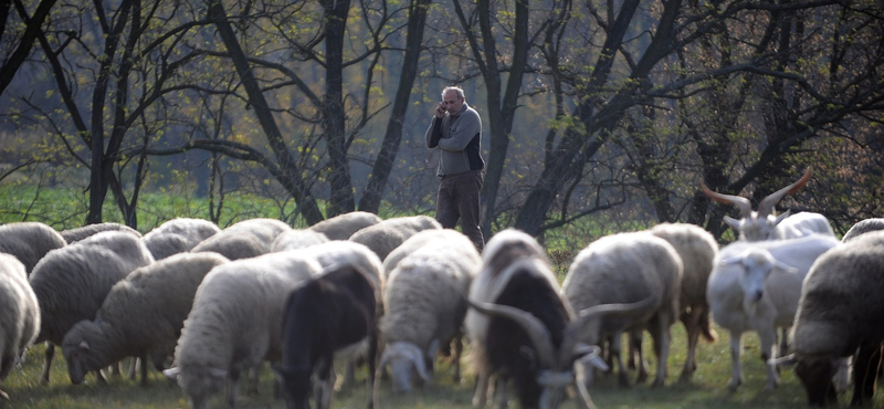 Öt terület, ahol befektetőként tarolhat 2015-ben