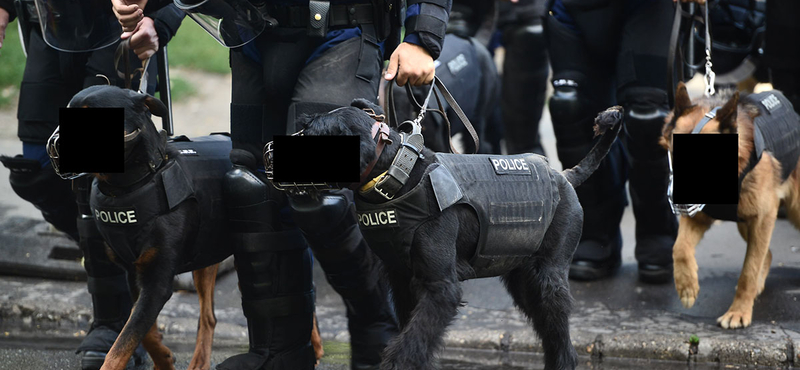 Visszautasítja a rendőrség a Pride szervezőinek vádjait