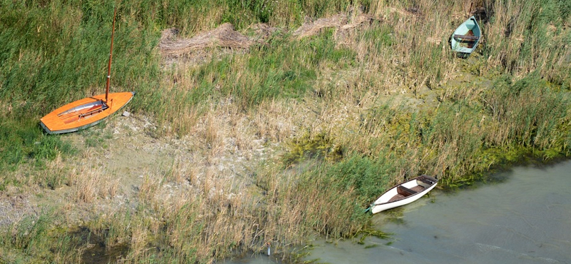 Irtja a nádat és sittet szór a Balatonba sok vízpartinyaraló-tulajdonos