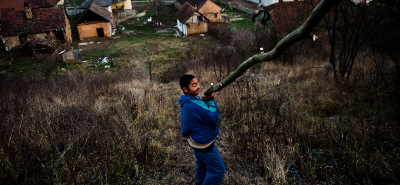 Fatolvajokat csuknak le Borsodban