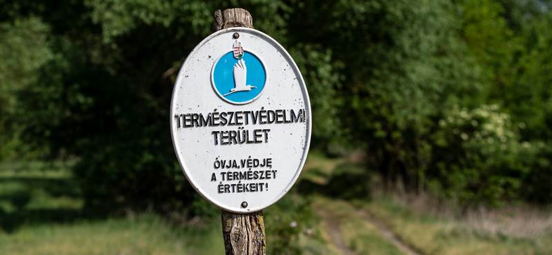 A magyar kormány ellenállásán is múlhat, elfogadják-e az EU új természetvédelmi szabályait