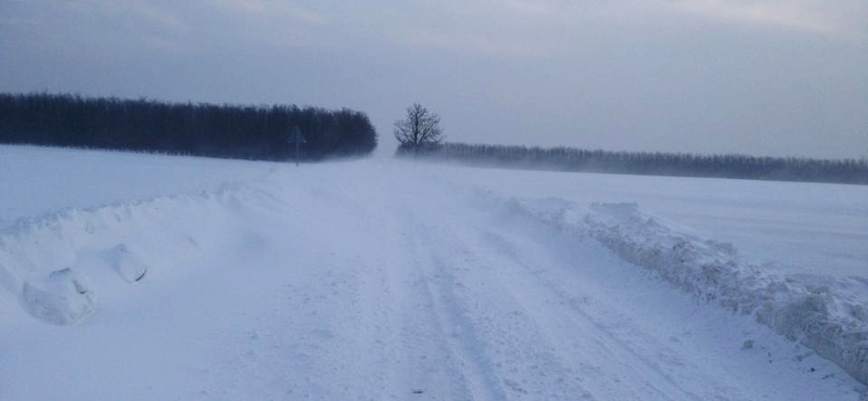 Gyurcsány is elakadt a hóban - fotó