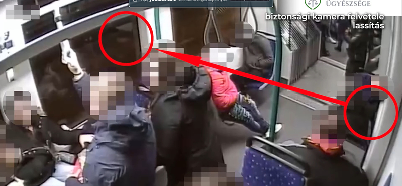 Alvó utasokat rabolt ki a villamoson, kiutasíthatják Magyarországról – videóval