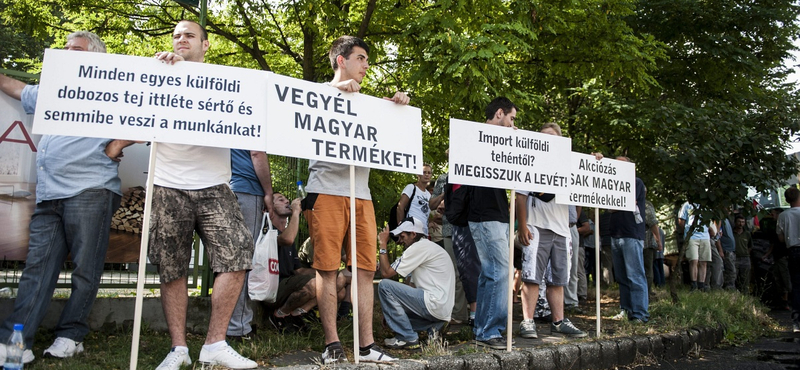 UHT-tejeket ellenőriz a nagykereskedőknél az FM