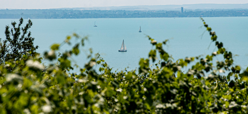 Apjuk szerint jó fizikumú volt a Balatonba fulladt testvérpár