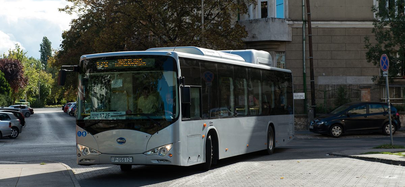 Meglepődhet, ha buszra száll Törökbálinton – fotók