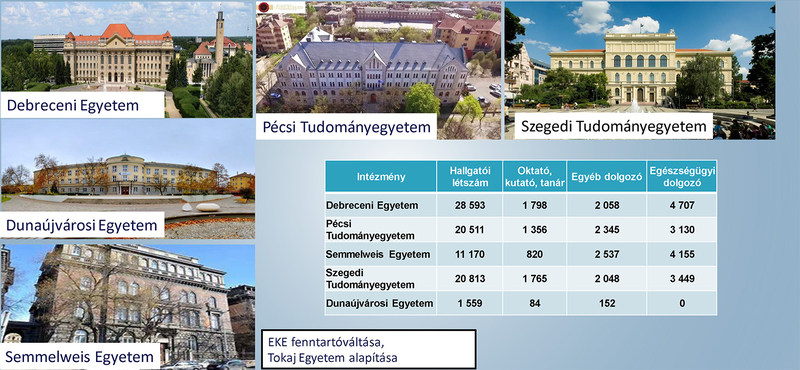 Bár az ITM prezentációja tényként kezeli az egyetemek modellváltását, a tárca szerint szabadon dönthetnek