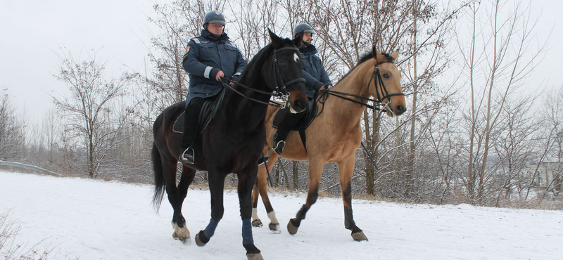 Lovasrendőröket is bevetnek a szabolcsi tanyavilágban