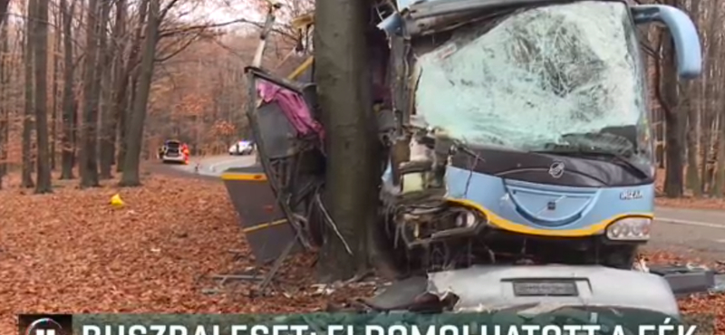 Pár másodperc alatt kellett döntenie a busz sofőrjének, amely fának csapódott a Mátrában