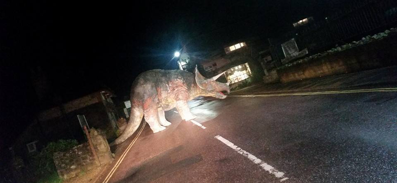 Vezet az ember hazafelé, és egyszer csak ott áll az úton egy Triceratops