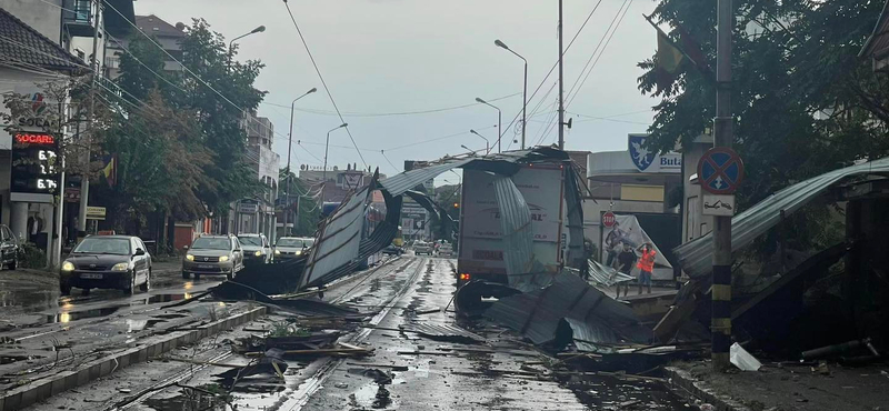 Gyökerestől tépte ki a fákat a tornádószerű vihar Nagyváradon