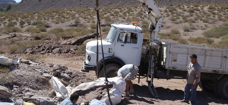 Új dinoszauruszfaj maradványait ásták elő Argentínában