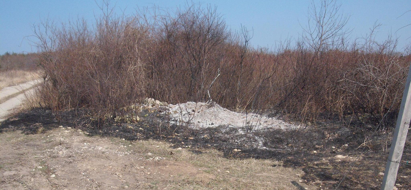 "A tőkék körülbelül 10-15 centis magasságig megégtek"