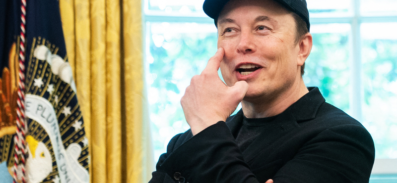 Elon Musk: Mondtam a kis X-nek, hogy gyerünk, üss meg! Erre megütött