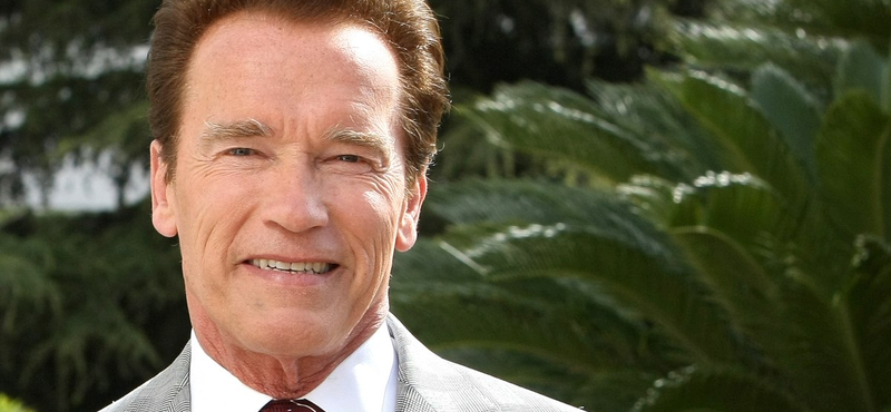 Schwarzenegger lehet az Avatar 2 rosszfiúja