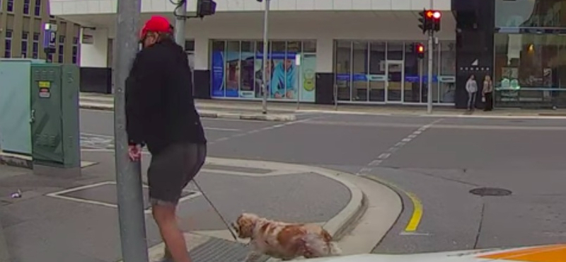 Instant karma: idegesen szövegelt a gyalogos a sofőrnek, aztán jött a lámpaoszlop – videó