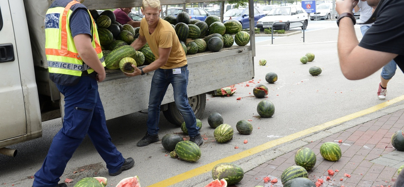 99 forintért adja a dinnyét a Tesco, bepöccent a kamara