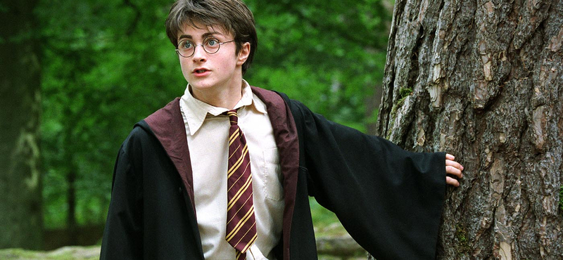 Az ember, akit tényleg Harry Potternek hívnak, most eladná a Harry Potter-könyvét