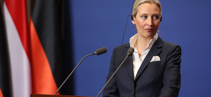 Orosz-ukrán háború: Alice Weidel, az AfD elnöke szerint figyelembe kell venni Oroszország biztonsági érdekeit