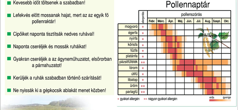 7 hasznos tipp allergiásoknak a lakásba