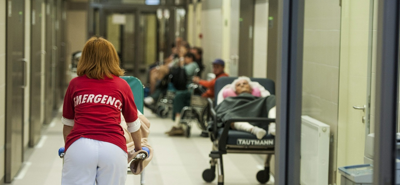 Ebből a szempontból vezető szerepet töltünk be Európában