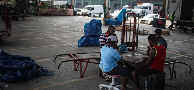 70 millió csirke pusztult bele a brazil kamionosok sztrájkjába