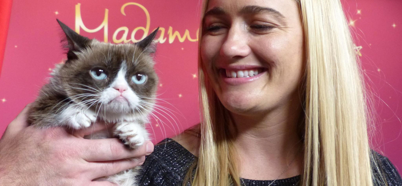 10 mém, amiről örökre emlékezetes marad Grumpy Cat