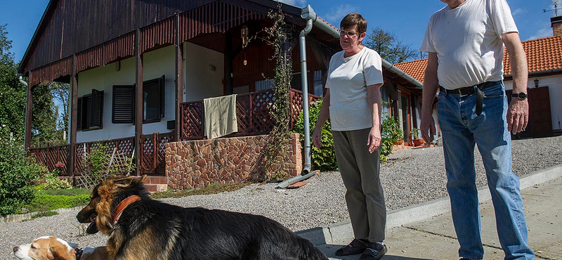 "Mindent felszámoltunk magunk mögött és jöttünk" 