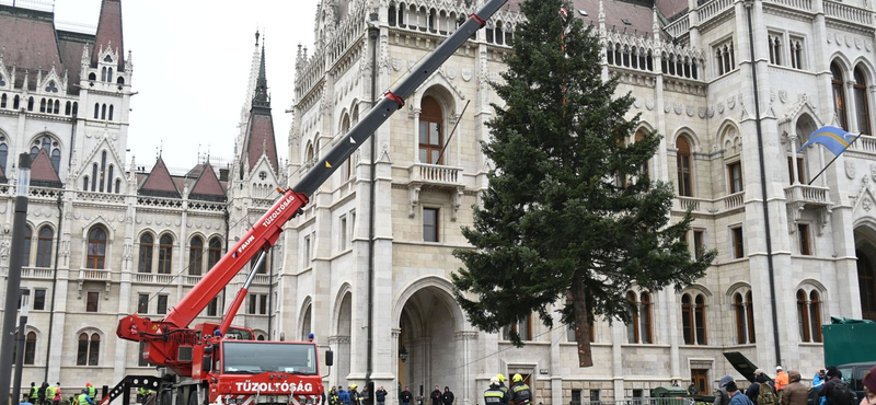 Megérkezett az ország karácsonyfája a Kossuth térre - fotók