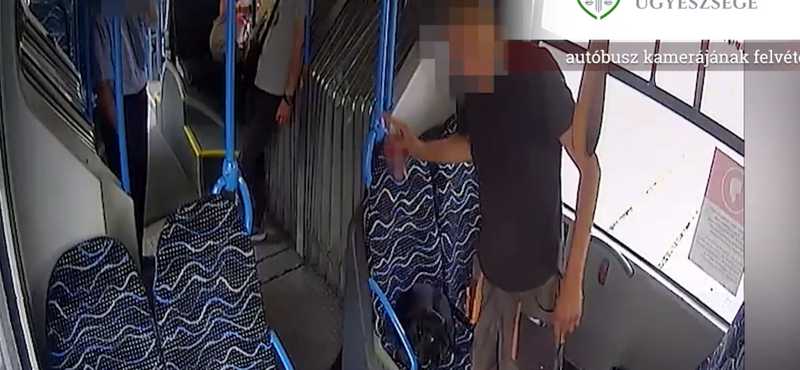 Videó: Hozzávágta a buszsofőrhöz az italos dobozt, amikor az szólt, hogy tegyen szájkosarat a kutyára