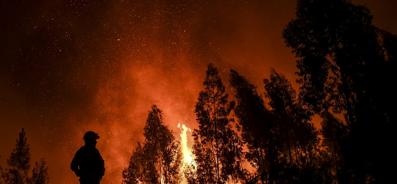 Durva pusztítást végeztek az erdőtüzek Portugáliában - videó