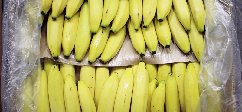 Egy prágai Lidl volt a címzettje egy 100 kiló kokainnal megrakott banánküldeménynek