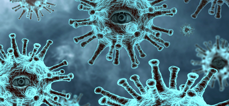 A szervezet ellen fordíthatja a saját sejtjeit a koronavírus egy új tanulmány szerint