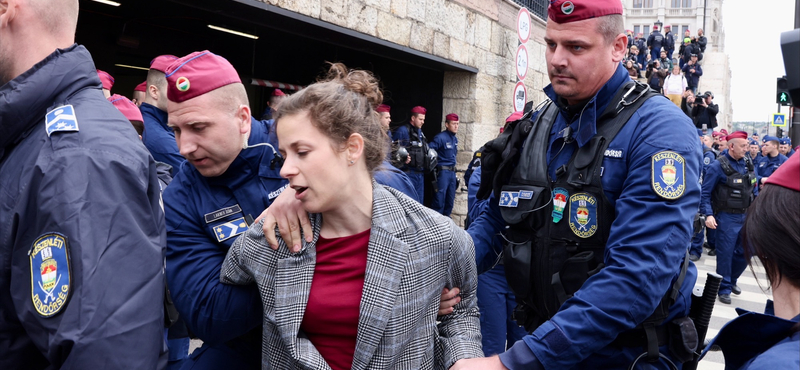 A Momentum elnöksége dönt arról, ki lesz a lemondott Orosz Anna képviselőutódja, 32 név jöhet szóba