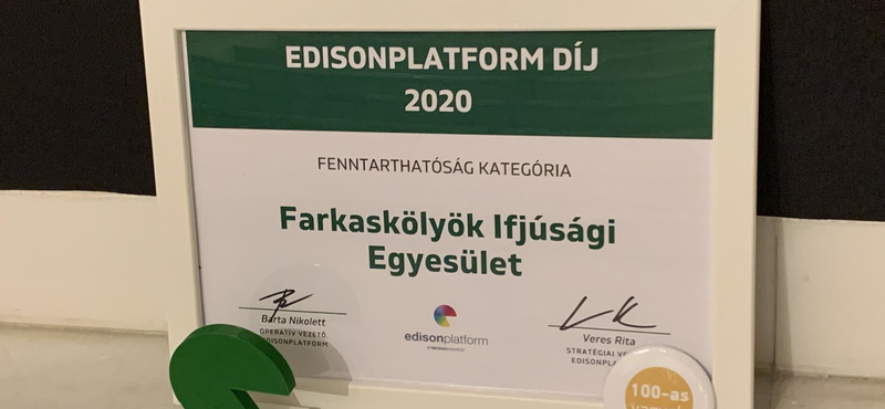 Edisonplatform-díjat nyert a Farkaskölykök Ifjúsági Egyesület