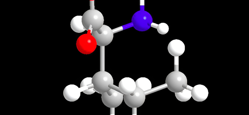 Egyetlen aminosav bevitelét fogták vissza – 33%-kal tovább éltek