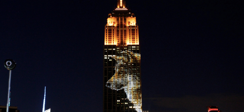 Videó: Látványos, de szomorú fényjátékban úszott az Empire State Building szombaton