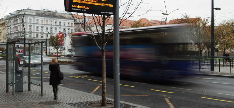 Patkány mászott egy utas nyakába a 108-as buszon