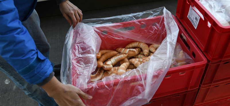 A biogáztól az állatmenhelyig - mi lesz a boltokban lejáró zöldségekkel és gyümölcsökkel?