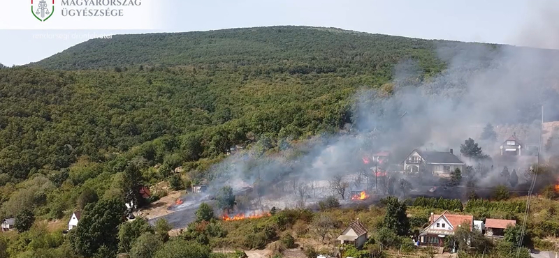 Tüzet szabadított a környékre a pécsi férfi, vádat emeltek ellene