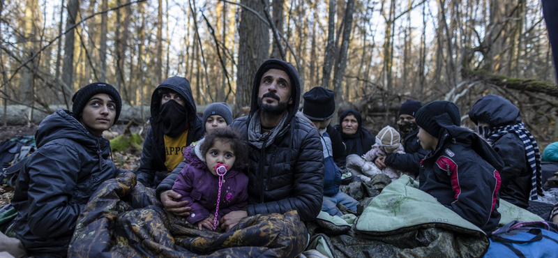 Halott újszülött, öngyilkos tizenéves - humanitárius válság fenyeget a lengyel-belarusz határon