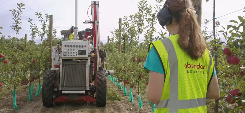 Almaszedő robot állt munkába Új-Zélandon, csak úgy kapkodja le a gyümölcsöket – videó