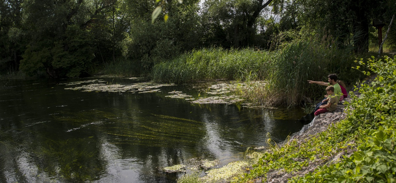 A kormánynak eszébe jutott a szigetközi vízpótlás