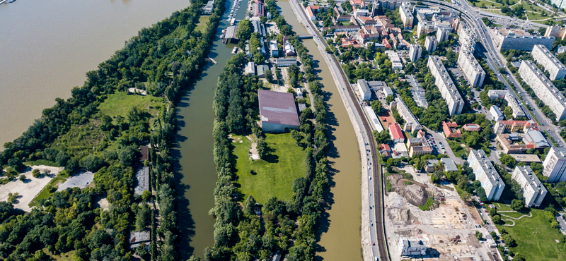 A kormány szerint szebb lesz a Hajógyári-sziget a fakivágások után