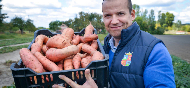 Toroczkai kiplakátolta Ásotthalmot, hogy mindenki megtudja, ki lopott a településen