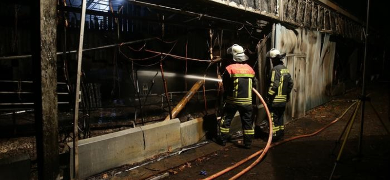 Több mint harminc majom pusztult el egy állatkerti tűzben