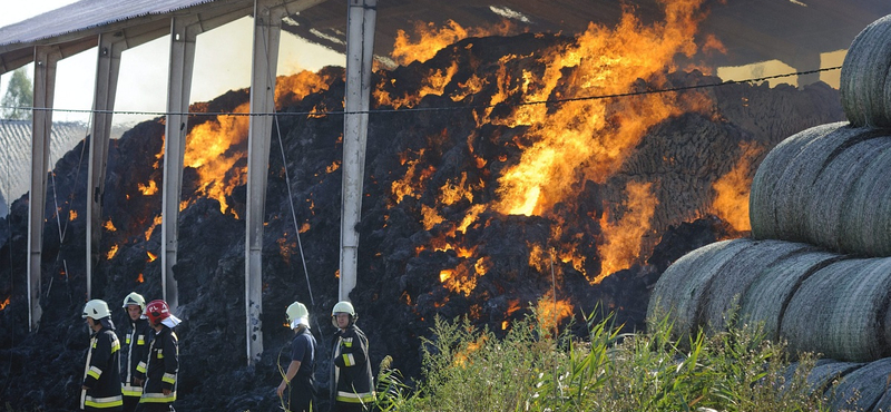 Kigyulladt egy szarvasmarhatelep Hajdú-Biharban