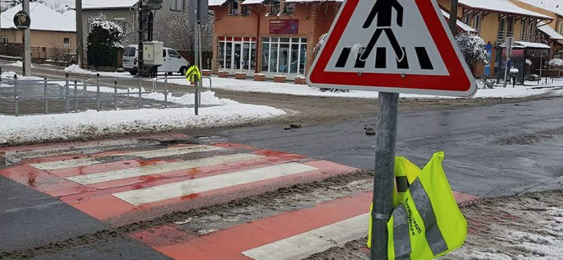 Akire büszkék lehetünk: rangos elismerést kapott a zászlós zebrák hazai atyja