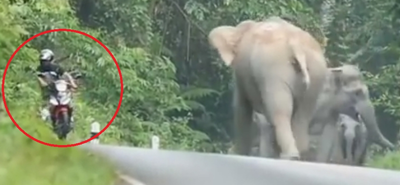 Ha 10 tonna közelít a motoros felé, csak egy dolgot érdemes tenni – videó