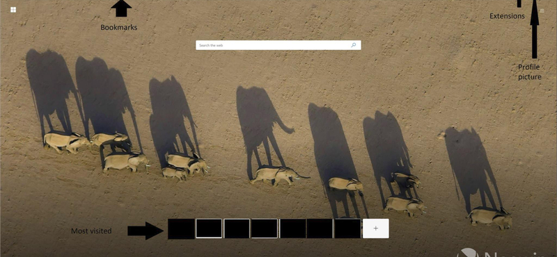 Kiszivárgott: Ilyen a Microsoft új böngészője, és simán lehet, hogy leváltja a Chrome-ot